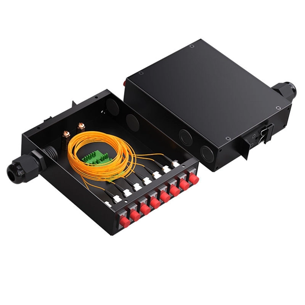 What are the two common types of passive optical networks 