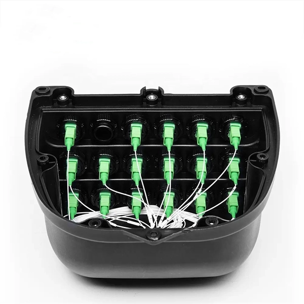 Fiber optic broadband connected to a switch is not working