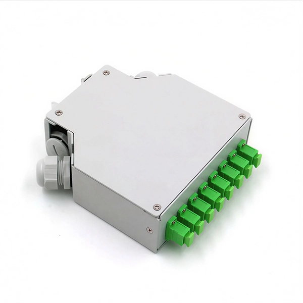 Does the router use a 100Mbps fiber optic connection