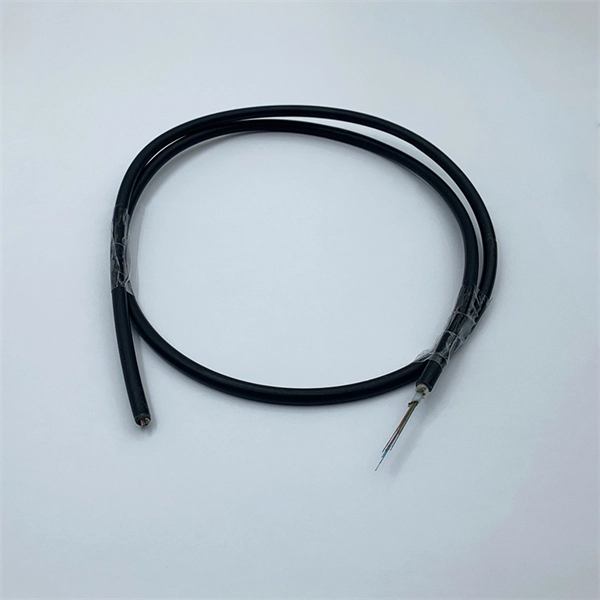 Maximum transmission distance of 10Gb single-mode fiber