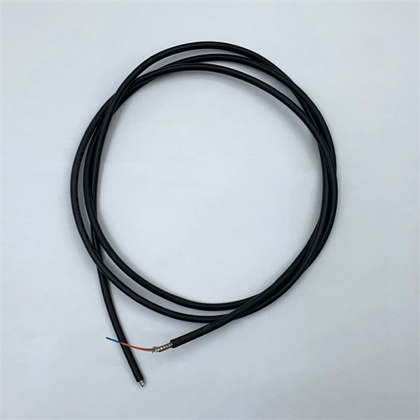 Switch with 2 fiber optic ports
