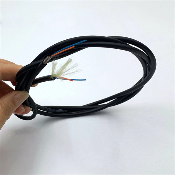 Fiber Optic Handheld Light Source Calibration in Congo