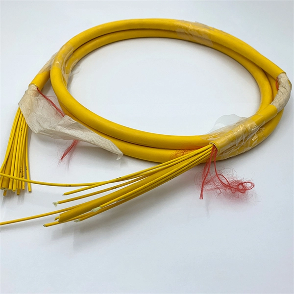 Single-mode fiber optic cable multimode module