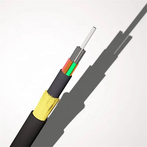 A broadband access switch