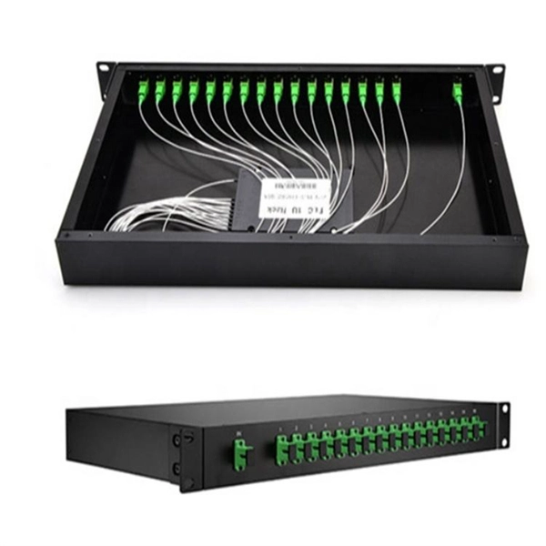 10 Gigabit Asia Branch